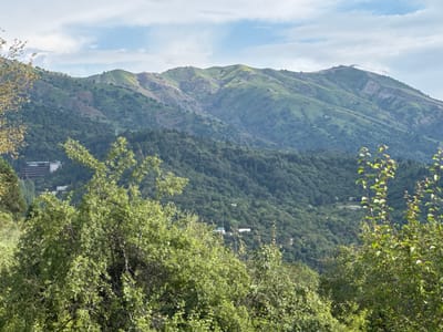 This image depicts a mountainous landscape with dense green vegetation covering the slopes. In the foreground, a large, leafy tree obscures part of the view. In the mid-ground, a sprawling, multi-story building, likely a hotel or resort, is visible nestled on a hillside. Further in the distance, the upper slopes of the mountains are bare in places, revealing rock and soil, with a ski lift system clearly visible atop one of the peaks. The sky above is partly cloudy with a mix of blue and white. The scene suggests a location offering outdoor recreation, potentially in a mountainous region with tourist amenities. The description of Uchterek, Uzbekistan, places this scene within a specific geographical context.