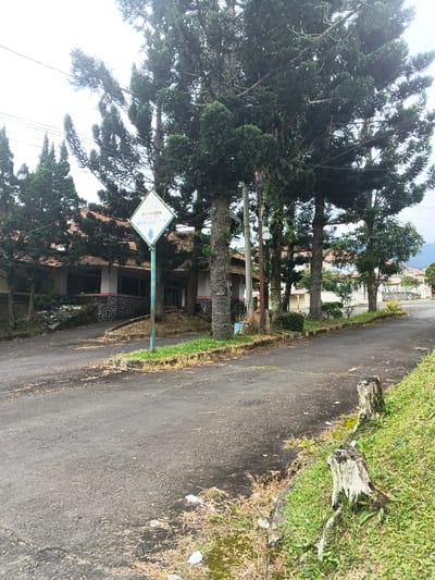 The scene depicts a static outdoor environment in Pô Kô, Vietnam, under an overcast sky. A dark gray asphalt road, exhibiting cracks and scattered debris, including dry leaves and small pieces of white refuse, occupies the lower half of the frame, curving slightly right to left. To the immediate right, an upward-sloping grassy embankment features two light-colored, weathered tree stumps. A smaller grassy patch on the left side of the road supports a light blue-green metal post, topped with a diamond-shaped white sign. The sign displays faded, partially legible red text, which appears to include "BAHAYA" and "BENCANA," along with a blue left-pointing arrow below. Behind the sign and to the left, a single-story building with a reddish-brown tiled roof, white upper walls, and a dark stone or brick foundation is visible, appearing somewhat weathered. A prominent line of tall, dark green coniferous trees with thick, rough trunks and dense foliage extends across the midground. A utility pole is partially visible among these trees. In the background, additional buildings with similar reddish roofs are interspersed between trees on the right. Distant hills or mountains are faintly discernible on the horizon beneath the bright, uniform sky. No individuals or active subjects are present.