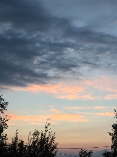This is a vertical, medium shot photograph of a sky over Leninsk-Kuznetskiy, Russia, at dusk. The sky is filled with layered clouds. The upper portion of the sky is dominated by dark, heavy, gray clouds with hints of blue. Below these, a band of lighter, wispy clouds glows with soft pink and peach hues, indicating the setting sun. The lowest part of the sky transitions into a pale blue and then a soft orange gradient, suggesting the horizon. Silhouetted against the sky at the bottom of the frame are the tops of trees. On the left, the leaves of a tree are sharply defined against the lighter sky. In the center and right, clusters of tree branches and foliage are visible. A thin, dark horizontal line, possibly a power line, is faintly visible across the lower middle of the image. The scene is devoid of people and any overt actions or interactions. The environment depicted is an outdoor scene with a focus on the atmospheric conditions during sunset.