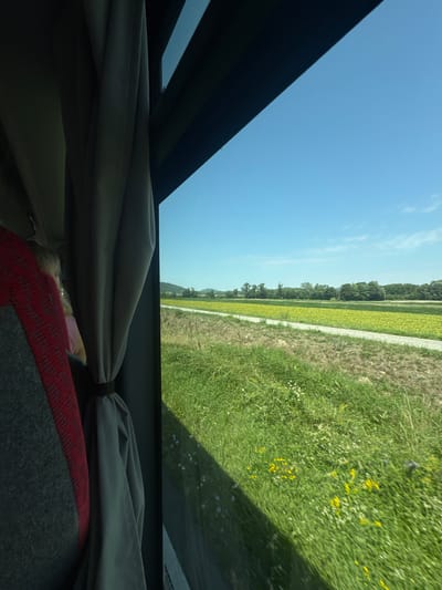 The image, captured from inside a vehicle, offers a view of a rural landscape through the window. On the left, a portion of a seat with red and gray upholstery is visible, along with a light gray curtain partially covering the window. The curtain is tied back with a dark band.

The main focus of the image is the outdoor scenery. A bright blue sky with a few wispy clouds forms the upper background. Below the sky, a vast field of bright yellow flowers, likely sunflowers, stretches across the middle ground. A narrow, light-colored path or road runs horizontally in front of this field. The foreground consists of lush green grass, dotted with small yellow and white wildflowers. In the far distance, rolling hills covered in trees are visible.

The location is described as being in the city of Berg, Austria. The scene depicts a sunny day in a countryside setting, possibly during the blooming season of sunflowers. The perspective suggests the photograph was taken while in motion, likely from a bus or car due to the presence of the seat and curtain.