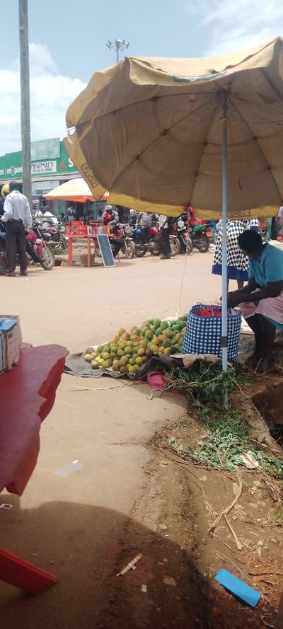 This image depicts a bustling open-air market scene in Butali Chegulo ward, Kenya, under a bright, partly cloudy sky.

In the foreground, a female vendor, wearing a light blue top and a light-colored, possibly plaid or striped skirt, is seated on a low stool under a large, tan-colored market umbrella supported by a metal pole. To her left, on the packed dirt ground, is a substantial pile of green and yellow mangoes resting on a dark tarp. Adjacent to the mangoes is a blue and white checkered woven bag containing numerous red, elongated items, likely chili peppers. Green foliage and dry vegetation are visible in a shallow dirt drainage channel to the immediate right of the vendor. To the left foreground, a segment of a red structure, possibly a table or bench, is visible, with a white and blue box resting upon it. The ground throughout the foreground is unpaved, consisting of packed dirt with scattered small debris.

The midground shows an unpaved street or market thoroughfare with significant activity. Numerous motorcycles, primarily red and black "boda-bodas," are parked or operated by individuals, mostly men. One man in a white long-sleeved shirt and dark trousers stands near a parked motorcycle on the left. Another market setup includes a smaller orange umbrella, a small table laden with red boxed items, and a visible small solar panel on the ground beside the table.

The background reveals a row of single-story commercial buildings lining the street. Visible signage includes "PHARMACY DUKA LA DAWA" and "m-pesa," indicating retail and financial services. A tall metal light pole with multiple floodlights is prominent against the blue sky in the upper right background. A slender utility pole stands on the left side of the frame. The overall environment suggests an active daytime market area.