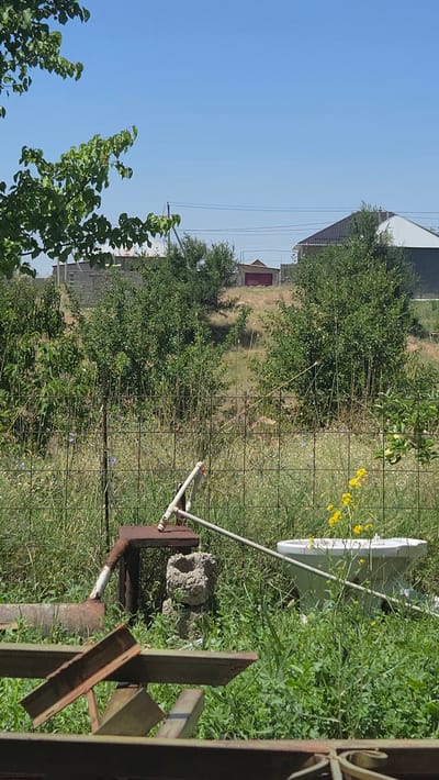 The image depicts an outdoor scene in Leñgir, Kazakhstan, characterized by overgrown vegetation and a collection of disparate objects. A chain-link fence runs across the foreground, separating the viewer from the rest of the scene. Behind the fence, a white porcelain toilet bowl is situated amidst tall green grass and yellow wildflowers. To the left of the toilet, a rusty metal structure appears to be a part of some discarded machinery, possibly a pump or a stand. A concrete block sits near the metal structure. In the background, there are several trees and bushes, and beyond them, buildings with dark roofs and a small red-roofed structure are visible. The sky is clear and blue. In the lower part of the image, metal beams and frames suggest the presence of discarded construction materials or equipment. No people are present in the image.
