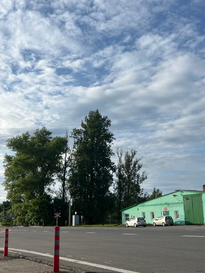 This media file shows a street scene in Krasnensk Rural Council, Belarus. The image is oriented vertically, with the sky taking up the upper left portion and the ground occupying the right side. The sky is filled with scattered white clouds against a blue background. Several dark power lines stretch horizontally across the sky.
On the right side of the image, a bright green building with multiple windows is visible. Two white cars are parked in front of the building, and what appears to be a red and green flag is attached to the building's facade. Adjacent to the building is a paved road with white lane markings. Red and gray striped bollards line the side of the road.
Several large trees with dark green foliage are present in the middle ground, partially obscuring the view of the building and the sky. In the background, more trees and some signs are visible. A red "X" shaped sign, likely indicating a level crossing, is also present. The scene appears to be captured during the daytime under cloudy skies, suggesting a temperate weather condition. There is no visible text in the image. The overall mood is neutral, depicting an ordinary outdoor scene.