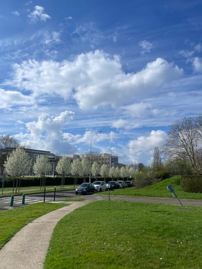 The image presents an urban landscape in Montigny-le-Bretonneux, France, under a clear blue sky interspersed with scattered white cumulus and cirrus clouds.
In the immediate foreground, a curved concrete pedestrian pathway is embedded within a manicured green lawn, which contains small white flowering plants. To the right of the pathway, a sloped grassy area features a circular road sign, mounted on a pole, leaning distinctly to the right.
The midground is dominated by a paved roadway. To the left of the road, a narrow strip of grass contains multiple dark green bollards. A linear arrangement of approximately twelve deciduous trees, all in full white blossom, runs parallel to the roadway, indicating a spring season. Behind these flowering trees, a neatly trimmed green hedge forms a boundary. Along the right side of the road, a line of at least eight parked passenger vehicles is visible, including a dark grey hatchback and a white hatchback. Two grey-colored streetlights are positioned along the road, one in the left midground and another further back on the right.
The background reveals several multi-story buildings, characterized by modern architectural design, appearing in shades of light grey and beige. One building prominently displays a blue circular logo with white elements on its facade. To the far right, a cluster of various trees, some with visible bare branches and others with early green foliage, occupies an elevated green bank. No individuals are present in the scene.