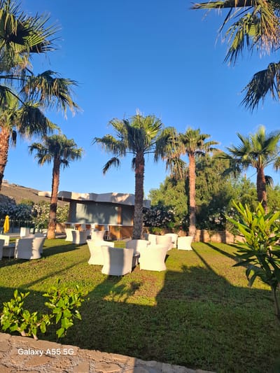 The image captures a serene outdoor scene, likely a resort garden or hotel grounds in Gouves Municipal Unit, Greece, under clear blue skies. The perspective looks across a well-maintained grassy area towards a building and distant foliage.

Tall palm trees with vibrant green fronds are prominent throughout the scene, framing the bright blue sky from various angles. Their sturdy trunks run vertically, anchoring the lush environment. Several sets of white, woven outdoor chairs with light-colored cushions are arranged on the manicured green lawn, suggesting areas for relaxation. These chairs are evenly spaced, creating an inviting, tranquil setting.

In the middle ground, a building with a modern, light-colored facade is partially visible, nestled among the greenery. Surrounding the building and extending into the background is a dense collection of various trees and flowering shrubs, featuring both deep green foliage and clusters of white blossoms.

Long, distinct shadows are cast across the grass by the palm trees and other plants, indicating either early morning or late afternoon sunlight (the golden hour), which gives a warm glow to the scene. The weather appears perfectly clear and sunny. A low, rustic stone wall runs along the right side of the foreground.

No people or specific activities are depicted, contributing to a peaceful and undisturbed atmosphere. The text "Galaxy A55 5G" is clearly visible in white lettering on the stone wall in the bottom right corner of the image, identifying the device used to capture the photograph.