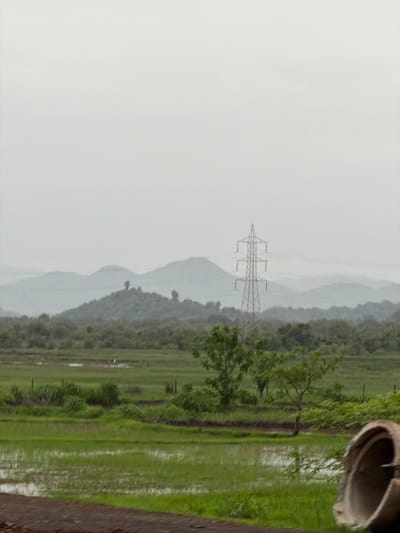 An overcast, possibly humid day in Saphale, India, is depicted. In the mid-ground, a large, silver-colored electrical transmission tower stands prominently against a backdrop of hazy, layered hills. The landscape in front of the hills is a patchwork of lush green fields, some appearing to be flooded rice paddies, interspersed with areas of dense vegetation and scattered trees. A few birds are visible wading in the shallow water of the fields. In the foreground, a portion of a large, curved concrete pipe is visible on the right side, its opening facing inward, obscuring part of the scene. A dirt path or road runs along the very bottom edge of the image. The overall impression is of a rural or semi-rural setting under a muted, grey sky.