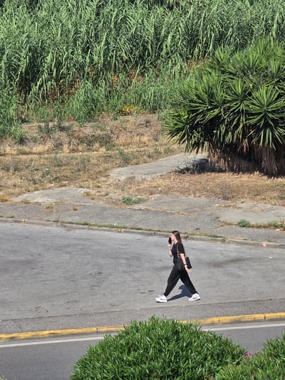A person wearing a black jumpsuit and white sneakers stands on an asphalt road with a yellow line. They are holding a phone to their ear. The scene is viewed from directly above, suggesting a high vantage point. To the left of the road, there is a patch of dry, yellow grass and some lush green vegetation, including a yucca plant. To the right of the road is a dense, green bush. The sun is shining, casting a shadow from the person onto the road. The overall impression is that of a warm, sunny day. The location context of Ladispoli, Italy, suggests a Mediterranean setting. No visible text is present in the image.