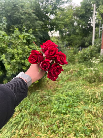 A person's hand, wearing a black sleeve and a silver mesh watchband, holds a bouquet of six red roses with some white streaking on one petal. The background is a soft-focus blur of green foliage, consisting of trees and grass, suggesting an outdoor setting likely in the city of Dubăsari town council, Moldova. The lighting is overcast, contributing to the diffused quality of the image.