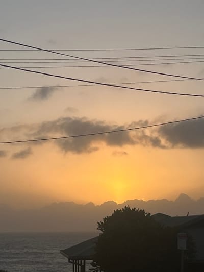 The image depicts a coastal scene in Coalcliff, Australia, at dawn or dusk, with the sun low on the horizon. The sky displays a prominent orange-yellow hue in the lower half, intensifying towards the sun located near the center-right. A horizontal band of dark, low-lying clouds partially obscures the sun and the immediate horizon. Above this, the sky transitions to a lighter pale yellow and then a light grey-blue, with scattered, indistinct grey clouds. Six dark utility lines traverse the upper portion of the sky, running horizontally across the frame. The Pacific Ocean is visible in the lower-left quadrant, presenting a dark, choppy surface with discernible wave patterns. In the lower-right foreground, a structure with a dark, sloped roof, consistent with a residential building, is partially visible. A dense, dark green tree stands in front of this structure, obscuring part of it. A small, dark avian subject is perched on the roof's apex. A partially obscured white sign with red text is situated behind the tree, to the right of the building structure. No human figures or active interactions are observed.