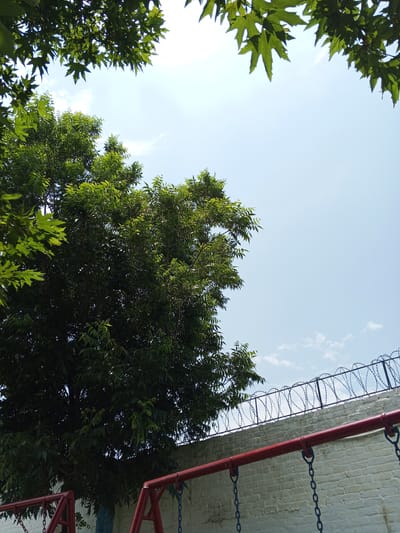 The image, taken in Rahim Abad, Pakistan, shows an outdoor scene under a bright, clear sky with a few wispy clouds. In the foreground, a red metal swing set structure is visible, with blue chains hanging down. Behind the swing set, a white brick wall topped with razor wire fencing runs horizontally across the frame. To the left, a large, dense tree with dark green leaves dominates the left side of the image, with some lighter green leaves from another tree visible in the upper left corner. The overall environment suggests a park or recreational area within a secured perimeter. There are no people present in the image.