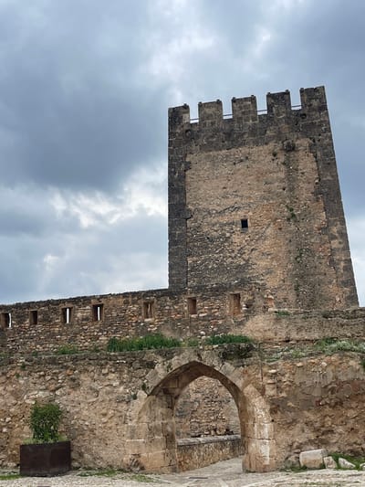 The image captures a detailed view of the Castle of Buñol in Buñol, Spain, under an overcast sky. The central feature is a tall, imposing rectangular stone tower, prominently positioned on the right side. This tower exhibits a crenellated top with distinct merlons and embrasures, and its rough-hewn stone facade displays various shades of brown, beige, and dark gray, indicative of age and weathering. A small, square, dark opening is visible on the upper half of the tower's main wall.
To the left of the main tower, a robust, lower stone wall extends horizontally, featuring a series of approximately nine rectangular, vertically oriented openings, resembling arrow slits or embrasures, evenly spaced along its length. Below this wall, a more complex section of ancient stone masonry forms the foreground, characterized by irregular stone blocks and a prominent, rounded archway in the lower-center. This archway leads to a shadowed passage with a visible paved path.
Sparse green vegetation, including small plants and scattered yellowish blooms, grows organically from the crevices and ledges of the stone walls, particularly above the archway and along the base of the lower wall. In the lower-left corner, a dark, rectangular planter box contains a small, leafy green shrub. The immediate ground in the foreground is paved with an irregular pattern of light-colored stones. The upper portion of the image is dominated by a uniformly gray, cloudy sky, indicating an overcast atmospheric condition. No human figures or discernible actions are present in the scene.