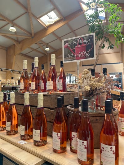 This image captures an indoor scene, likely within a winery retail shop or a local market in Loire-Authion, France. The primary subjects are numerous bottles of rosé wine displayed horizontally on rustic wooden shelves or crates.
Many of the wine bottles bear labels such as "Vie en rose" (Life in pink), while others are identified as "CHÂTEAU DE LA VIAUDIÈRE CABERNET D'ANJOU," featuring the "2021" vintage. A visible price tag indicates "11.50€" for one of the bottles.
A prominent white sign in the foreground, adorned with a pink watering can illustration, carries the playful French text "Le Printemps doit s'aROSE," which translates to "Spring must be watered (with rosé)" or "Spring must be rosy." The display also incorporates decorative elements, including bundles of dried flowers and a small artificial tree with green leaves, some of which appear to have cobwebs.
The setting is an interior space characterized by a high, vaulted ceiling with exposed wooden beams and structural elements. Skylights provide ample natural daylight, suggesting the photo was taken during the daytime. The overall ambiance is that of a specialized wine store or market, focusing on regional products from the Loire Valley.
