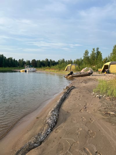 The image depicts a serene campsite on the sandy shore of a body of water, likely a lake or river, in the city of Borovoye, Russia. The environment is characterized by a tranquil body of water with gentle ripples, meeting a sandy beach. Lush green trees form a dense backdrop along the horizon. Several tents, appearing to be yellow, are pitched on the sand, suggesting a camping setup. One inflatable boat with an outboard motor is partially submerged in the water near the shore, while two motorboats are moored on the sand a bit further down the beach. Footprints are visible in the sand, indicating recent human activity. A large, weathered log lies on the sand, adding a natural element to the scene. The sky is partly cloudy with a soft, natural light, suggesting it is either early morning or late afternoon. There are no people visible in the image.