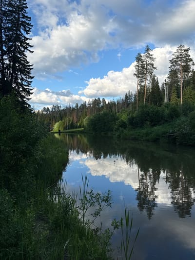 The image depicts a serene natural landscape with a body of water, likely a river or lake, reflecting the sky and surrounding trees. On the left bank, tall, dark green evergreen trees dominate the foreground, casting a shadow over the grassy bank. The water is calm, with clear reflections of the blue sky, white puffy clouds, and the dense coniferous forest that lines the opposite bank. Some deciduous trees with lighter green foliage are interspersed within the forest. In the distance, a ski lift structure with towers and cables is visible against the treeline, suggesting the location may be a recreational area or ski resort. The overall impression is one of tranquility and natural beauty, with the interplay of light and shadow creating a visually appealing scene. The location is identified as Nechkino, Russia.