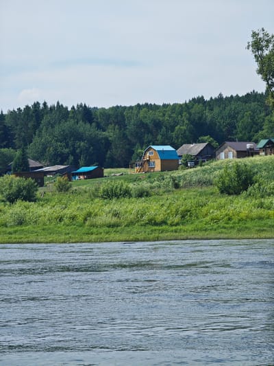 A wide, rippling blue river occupies the foreground of the image. The riverbank rises steeply, covered in lush green grass and dense vegetation. Several houses are visible nestled on the grassy slope, some with bright blue roofs. Behind the houses, a dense forest of green trees covers the landscape, extending to the horizon under a pale blue sky dotted with a few wisps of clouds. A single tall tree stands out on the right side of the image, its branches reaching towards the sky. The scene depicts a tranquil, natural landscape with scattered human habitation, likely a rural village or settlement.
