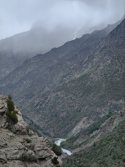An overcast, foggy sky hangs over rugged, mountainous terrain. The foreground features a steep, rocky cliff face sparsely populated with green vegetation, including a small cluster of pink flowers. A winding river flows through a valley below, bordered by densely vegetated mountain slopes. The distant mountains are obscured by mist and fog. The scene depicts a natural landscape in a mountainous region, likely within or near Stingri, India, given the context. There are no people or active human subjects visible in the image.