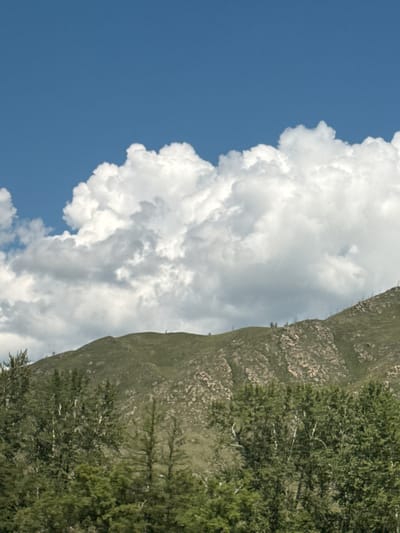 The image depicts a natural landscape under a blue sky with large, fluffy white clouds. In the foreground, a dense line of green trees forms a natural border, with some lighter colored tree trunks visible amongst the foliage. Behind the trees, a grassy, rolling hill rises, with rocky outcrops and patches of sparse vegetation visible on its slopes. The top of the hill is rounded and covered in green grass. This scene is likely located near the city of Onguday, Russia, a region known for its mountainous terrain and natural beauty. There are no people or animals visible in the image.