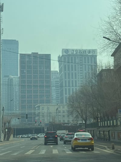 This image depicts an urban street scene on Beiling Street, Huanggu District, Shenyang, Liaoning Province, China, under an overcast and hazy sky.

In the foreground, a multi-lane asphalt road with white crosswalk markings and lane dividers is visible. Several vehicles are present, including a black SUV, a silver SUV, and a yellow and white sedan taxi (Liaoning A 7H574), all facing away from the viewer, appearing to be in traffic or stopped at a red light ahead.

The mid-ground features a large concrete underpass structure spanning the width of the road, with multiple traffic lights displaying red signals. Bare deciduous trees with visible branches line the right side of the street, alongside a pedestrian area and the facade of a multi-story building. A streetlight and a blue "P" parking sign are also present on the right. A "30" speed limit sign is faintly visible.

The background is dominated by a dense cityscape of modern high-rise buildings. The most prominent is a tall, light-colored skyscraper featuring the name "辽宁农商银行" (Liaoning Rural Commercial Bank) displayed on its upper facade. To its left, another distinct multi-story building with a darker, grid-patterned exterior is visible, flanked by other glass-clad skyscrapers. On the far left, a section of a tall communication tower or mast extends vertically. No discernible individuals are visible outside of the vehicles.