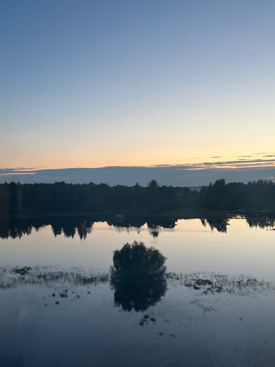 The image depicts a tranquil natural scene at what appears to be either dawn or dusk. The upper portion of the image is dominated by a gradient of sky, transitioning from a deep, clear blue at the top to lighter shades of blue and pale yellow near the horizon. A thin band of clouds stretches horizontally across the sky, just above the treeline.

The lower half of the image features a calm body of water, likely a lake or a wide river, which perfectly reflects the sky and the landscape above. The reflection of the sky shows the same gradient of colors. A silhouetted treeline forms the horizon line, with dense, dark foliage. Within the water, a solitary, dark, leafy tree is visible in the foreground, its reflection also clearly mirrored below. The water's surface is disturbed in places by subtle ripples and patches of aquatic vegetation or shallow areas. The overall impression is one of serene natural beauty.

While the prompt mentions the city of Суда, Russia, the image itself does not contain any explicit landmarks, buildings, or signs that would confirm this specific location. The scene is entirely natural and lacks any man-made structures or identifiable urban features.