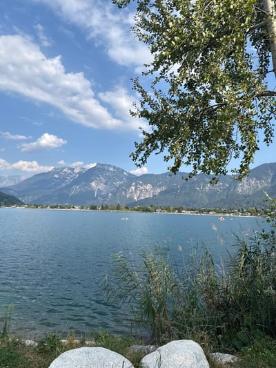 The image captures a serene lake scene, likely in Calceranica al Lago, Italy, given the context. In the foreground, lush green reeds and grasses line the shore, with large, smooth grey rocks visible at the very bottom. A tranquil blue lake stretches across the mid-ground, dotted with a few small recreational boats, some of which appear to be paddle boats with people on them. In the distance, a picturesque shoreline is visible, featuring a strip of beach, scattered buildings, and a dense line of trees. Dominating the background are imposing, majestic mountains with rugged, rocky peaks, their surfaces showing patches of lighter rock and shadowed areas. The sky above is a vibrant blue, adorned with scattered white, fluffy clouds that cast soft shadows. A tree with green foliage hangs into the upper right portion of the frame, its leaves partially obscuring the sky and mountains, suggesting the viewpoint is from under a tree. The overall atmosphere is peaceful and idyllic, characteristic of a summer day by the water.