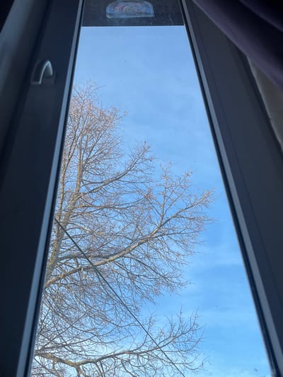 The image displays an exterior view from inside a building, framed by a dark grey window sash on the left and right, with a light grey handle visible on the left frame. A small, rectangular sticker featuring a rainbow design is affixed to the upper portion of the glass pane. A purple curtain is partially visible along the far right edge. Beyond the window, a large deciduous tree with numerous bare branches and minimal residual dry leaves occupies the left and lower-center of the scene. A single dark utility cable runs horizontally through the lower-center, intersecting the tree branches. The background consists of a clear, light blue sky with faint, wispy white clouds, indicating daylight conditions in what appears to be late autumn or winter. No people, specific actions, or interactions are visible. This scene is located in Kozlovka, Russia.