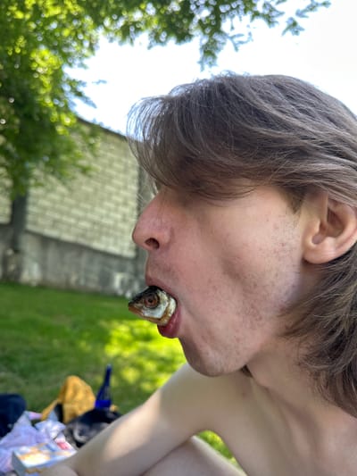 The media file is a close-up, side-view shot of a person holding a small fish with its head protruding from their mouth. The person's face is partially visible, with their mouth open to accommodate the fish. Their hair is a medium brown, and their skin shows some light stubble and freckles. The background is outdoors, featuring green grass and trees with blurred foliage. A structure resembling a tiled roof and a brick wall is visible in the mid-ground, suggesting a residential or garden setting. The overall lighting indicates daytime, possibly a sunny day due to the bright sky and dappled green light. There are no discernible emotions visible due to the close crop and focus on the unusual activity. No visible text is present in the image. The activity appears to be a staged or playful action, possibly for shock value or amusement, with the fish being presented as if it were being consumed or held in the mouth. The location context is Wald (ZH), Switzerland.