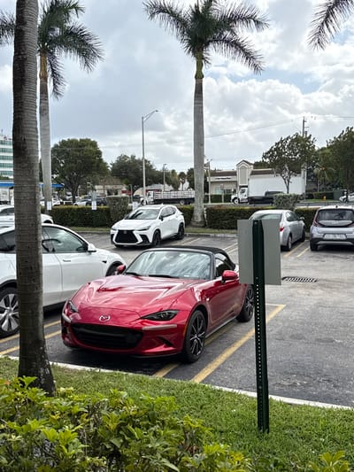 A parking lot with several cars parked in a row. A red Mazda Miata stands out. A white sedan is next to it. A white coupe is behind the Miata. A white commercial truck and other cars fill the remaining spaces. Palm trees line the perimeter. A green bush is on the right side. The sky is overcast.