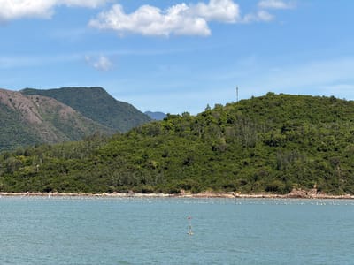This media file depicts a coastal scene in Nam Ninh Hòa, Vietnam. The foreground is dominated by a body of calm, blue-green water. Scattered across the water's surface, particularly in the middle ground, are numerous white objects that appear to be buoys or markers, possibly for aquaculture or a fishing area. A single marker with a small red flag stands out in the center of the frame.
The background features a dense, green, tree-covered hillside that rises steeply. The vegetation is lush and varied, creating a textured landscape. At the peak of one of the hills, a tall, slender telecommunications tower is visible against a bright blue sky. The sky is partly cloudy, with fluffy white clouds scattered across it. The sunlight suggests it is daytime, likely late morning or early afternoon. The overall impression is one of a natural, serene environment, possibly with some human activity related to maritime industries. No text is visible in the image.