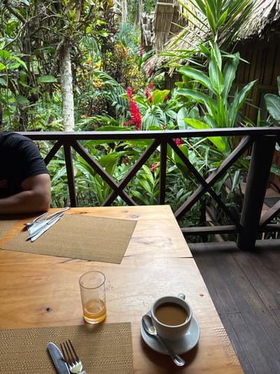 An elevated wooden deck in Flores, Guatemala, features a light-toned wooden table set for two, overlooking a dense tropical forest. The foreground shows two beige woven placemats. On the left placemat, a silver knife and fork are enclosed within a napkin. Partially visible on the left, a person's right arm, clad in a black short-sleeved shirt, rests on the table. In the mid-ground, a clear glass with amber liquid residue stands near the center of the table. To the right, a white cup containing a dark brown liquid (likely coffee) rests on a white saucer with a silver spoon. Below this setting, another placemat is partially visible, with a knife and fork. Beyond the table, a dark brown wooden railing with a diagonal lattice design separates the dining area from the lush vegetation. The background is dominated by dense, green tropical foliage, interspersed with vibrant red flowering plants (likely Heliconia). In the upper right, thatched roofs and wooden structural elements of what appear to be bungalows or cabins are visible amidst the trees. The deck's floor is constructed from dark wooden planks. The scene suggests an outdoor meal or beverage service in a jungle resort setting.