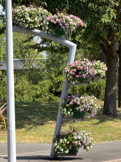 This media file shows a series of hanging flower baskets filled with pink and white petunias. They are suspended from a grey metal structure that appears to be a modern street lamp or lamppost. The flower baskets are arranged at different heights and angles along the structure. The background consists of lush green trees, a grassy area, and a paved surface that looks like a sidewalk or road. The scene is brightly lit, suggesting it is daytime, and the clear sky indicates fair weather. The overall impression is one of pleasant outdoor landscaping, likely in a public space such as a park or a street in a town or city. There are no people visible in the image. The location context is Rungis, France. There is no visible text in the image.