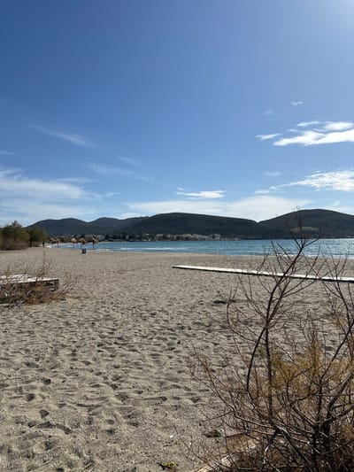 The image displays a serene coastal landscape in Anatoliki Attiki, Greece. The scene features a bright, clear blue sky with scattered, wispy white clouds across the top. In the background, a series of dark, green-covered mountains rise steeply from the coastline, stretching along the horizon. At their base, a small coastal settlement with buildings is visible along the water's edge.

The mid-ground is occupied by the calm, sparkling blue water of the sea, which appears to gently lap against the shore. The foreground is dominated by a wide, light brown sandy beach, covered with numerous footprints, suggesting recent human presence although no individuals are currently visible. A long, light-colored wooden plank or walkway rests on the sand, extending towards the water on the right side of the frame. On the far right, a bush with many bare, intricate branches stands out, possibly indicating a winter or early spring season. Smaller patches of green vegetation are also present along the beach closer to the water.

The overall impression is one of natural beauty and tranquility on a clear, bright day, likely in the morning or early afternoon, with no specific activity taking place and no visible text.