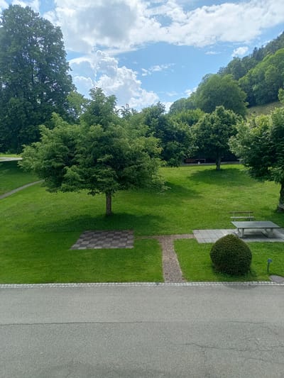 The image depicts a park-like setting in Bellelay, Switzerland, on a sunny day with scattered clouds. In the foreground, a paved road runs horizontally across the bottom of the frame. Beyond the road, a well-maintained green lawn dominates the scene. Several trees of varying sizes are scattered across the lawn, with a particularly large, mature tree at the center of the composition. A small, checkerboard-patterned paved area is visible near the base of the central tree. Further into the park, a stone table and bench set on a paved patio are situated next to a perfectly manicured, round shrub. A winding path made of bricks can be seen leading into the park. In the background, a dense forest covers a hillside, with the sky above displaying a mix of blue patches and fluffy white clouds. There are no people or animals visible in the image.