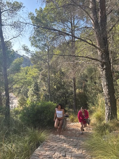 The image captures two females ascending an irregular stone-paved path through a dense Mediterranean forest in Deià, Spain, likely on the route leading from Cala Deià. The woman in the foreground on the left, with dark, wavy hair, is barefoot, wearing a white spaghetti-strap top and dark reddish-brown bikini bottoms, and carries a dark garment over her left forearm. She is slightly ahead of the second woman, positioned to her right. This second woman, with lighter hair, wears a long-sleeved fuchsia shirt, dark shorts, and dark sandals, carrying a black and white striped shoulder bag. Both individuals are actively walking uphill. The path is bordered by tall, dry, light-green grasses in the immediate foreground. The environment is heavily wooded with numerous tall pine trees and dense green shrubbery, particularly on either side of the path and extending into the background. A clear blue sky is visible through the tree canopy. In the mid-ground to the left, a bright, open area at a lower elevation is discernible through the trees, suggesting proximity to a beach or cove. A mountainous peak is visible in the upper left background. The scene is illuminated by direct sunlight.