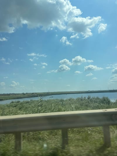 The image shows a wide expanse of a body of water, possibly a lake or a slow-moving river, bordered by dense green vegetation, primarily reeds and tall grasses, that extends towards a distant, flat horizon. The sky above is a vibrant blue, dotted with scattered white cumulus clouds. The overall impression is a serene natural landscape. There is a metallic guardrail in the foreground, suggesting the viewpoint is from a road or elevated walkway adjacent to the water. The specific location within the city of Genera, Russia cannot be determined from the visual information provided. There are no people, specific objects, or actions depicted that would suggest a particular event or activity.