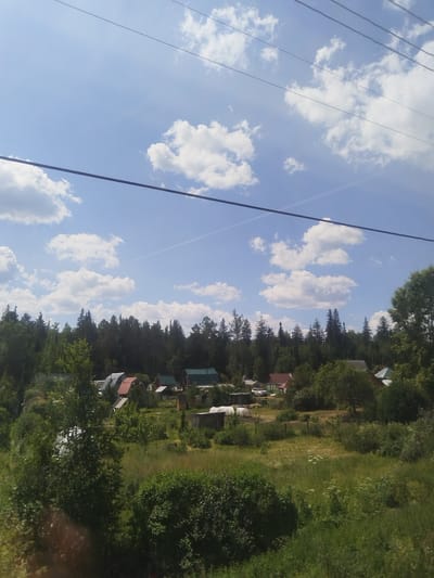 The image captures a rural landscape with a cluster of houses nestled among trees under a partly cloudy blue sky. The scene appears to be a village or dacha settlement, characteristic of the Russian countryside. In the foreground, dense green foliage, including bushes and trees, partially obscures the view. Further back, several houses with various roof types, some red and some green, are visible. A line of dark green coniferous trees forms a backdrop, extending across the horizon. Power lines are visible in the upper portion of the image, strung across the sky. The overall impression is one of a serene, sunlit day in a natural setting. The image does not contain any people, actions, or interactions.