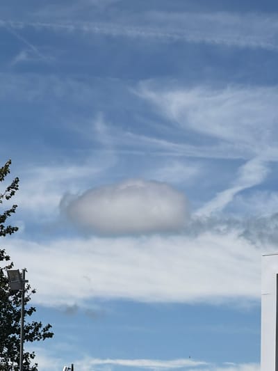 The image shows a bright blue sky with wispy white clouds. One distinct cloud formation is oval-shaped and suspended in the center of the frame. There are also streaks of thinner clouds stretching across the sky. In the bottom right corner, there is a hint of dark green foliage from trees, and a street lamp is visible. A building with a white facade and dark window frames can be seen at the top edge of the image. The scene suggests it is daytime, with clear weather and good visibility. The overall mood is serene and natural. There is no visible text in the image.