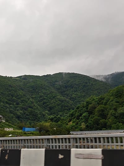 The image captures a mountainous landscape covered in lush green trees. The sky is overcast with gray clouds, and a light mist or fog is visible clinging to the slopes of the mountains, particularly in the mid-ground. In the foreground, a section of a roadside barrier is visible, featuring a combination of metal railings and black and white concrete elements. To the left of the barrier, part of a building or structure with a white facade can be seen, along with a large blue tarp covering something on the ground. The overall scene appears to be a view from a road, possibly in a rural or semi-rural area near Grigalati, Georgia, given the context of the prompt, showcasing the natural beauty of the region under a cloudy sky.