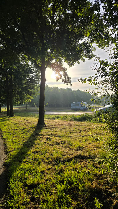 The image captures a tranquil park-like setting in Braamt, Netherlands, bathed in the warm, low-angled light of sunrise or sunset. A large tree with dense green foliage dominates the left side of the frame, casting a long, distinct shadow across a grassy field. The grass appears recently mowed in some areas, with patches of longer green blades interspersed with dried clippings.
In the middle ground, a paved road runs horizontally across the scene. Parked on the right side of the road is a light-blue motorhome, suggesting a campsite or recreational area. Further back, a line of trees forms a verdant backdrop, their leaves illuminated by the soft sunlight. The sky above is a pale blue with streaks of white clouds, indicative of pleasant weather. On the far right, a dense cluster of green leaves and branches from another tree or shrub partially obscures the view, adding depth to the composition. The overall impression is one of peaceful, natural beauty.