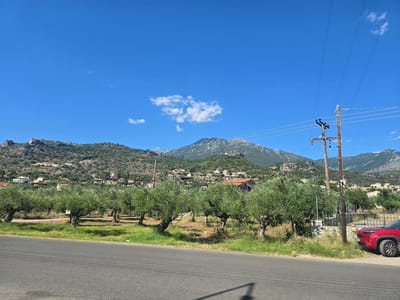 A bright, sunny day scene captured from a road in the Municipal Unit of Lefktro, Greece, presents a picturesque rural landscape. In the foreground, a paved road runs horizontally across the image, with a patch of grass and a line of olive trees bordering it. The olive trees, with their gnarled trunks and green foliage, are neatly arranged, suggesting an olive grove. Beyond the trees, the terrain slopes upwards, revealing a hillside dotted with small houses, their terracotta roofs a warm contrast against the lush green vegetation. In the background, a prominent mountain range dominates the horizon, its slopes covered with trees and its peaks softened by distance. The sky above is a clear, vibrant blue, with a few wispy clouds scattered across it. A wooden utility pole with electrical wires stands to the right of the frame, a modern element in the otherwise natural setting. A red car is parked on the side of the road, partially visible on the right edge of the image. The overall impression is one of tranquility and the serene beauty of the Greek countryside.