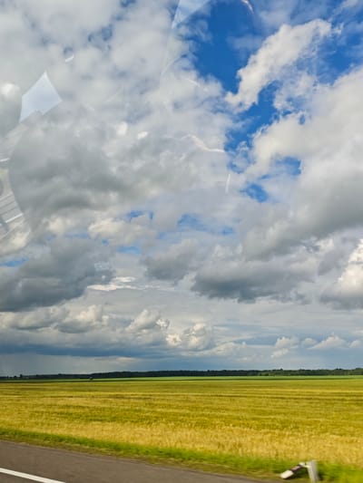 This is a vertical, eye-level, outdoor photograph taken from a moving vehicle, likely a car, looking out at a rural landscape. The image is dominated by a vast, golden-yellow field of crops, possibly wheat or barley, stretching to the horizon. The field is divided into rows, suggesting it has been cultivated. In the far distance, a dark green line of trees forms a dense forest, marking the boundary of the field.
Above the field, a dramatic sky unfolds. White and grey cumulus clouds fill much of the frame, interspersed with patches of bright blue sky. The lighting suggests it's daytime, with some areas of the clouds casting shadows on the field below, hinting at the possibility of impending rain. The overall mood is one of expansive natural beauty and the tranquility of the countryside.
Reflections are visible on the upper portion of the image, indicating the photo was taken through a window, likely the windshield of the vehicle. These reflections are abstract shapes and colors, mostly white and light grey, obscuring some of the sky.
The foreground shows a sliver of a road or pavement with a white line, reinforcing the perspective from a moving vehicle. A small, white and red striped object, possibly a marker or reflective element, is visible on the right side of the road.
The location context is Gubithsky Selsovet, Belarus. There is no visible text in the image.