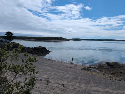A tranquil daytime scene unfolds at a pebbly beach in West Isles Parish, Canada, with a vast expanse of calm water meeting a shoreline dotted with dark rocks and sparse vegetation. The sky is a canvas of brilliant blue, adorned with scattered, wispy white clouds that cast soft shadows on the landscape. A lush green tree stands stoically on the left side of the image, overlooking the serene vista.
Several individuals are present on the beach and in the water. Two people stand near the water's edge, facing away from the camera, while another individual is partially submerged in the water, creating gentle ripples that spread outwards. A fourth person is seated on the beach, appearing relaxed and enjoying the peaceful atmosphere.
The water itself is a mesmerizing shade of blue, reflecting the sky above and exhibiting subtle wave patterns that suggest a gentle breeze. The shoreline is a mixture of dark, rugged rocks and smooth, gray pebbles, creating a natural, unmanicured appearance. The overall impression is one of serenity and natural beauty, inviting viewers to experience the quietude of this coastal paradise.