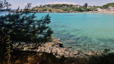 The image depicts a coastal scene in Leporano, Italy, featuring a clear, turquoise sea. In the foreground, a large pine tree branch partially obscures the view of the water, with rocky terrain and dry vegetation visible at the bottom left. The water is shallow and transparent, revealing a rocky seabed.
In the mid-ground, the sea stretches towards a bay lined with a sandy beach. Numerous beach umbrellas and sun loungers are set up on the beach, indicating a populated area. People are visible swimming and enjoying the water.
The background shows a hilly coastline densely covered with green vegetation and dotted with buildings, suggesting a residential area or tourist accommodations. The sky is blue with scattered white clouds, and the overall lighting indicates a sunny day.