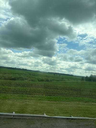 The image depicts a rural landscape with rolling green hills under a dramatic cloudy sky. In the foreground, a young crop field, likely corn, is visible with neat rows of green shoots. Adjacent to the crop field is a strip of grass, and a metal guardrail runs horizontally along the bottom of the frame, suggesting the viewpoint is from a road or roadside. The middle ground features more lush, undulating fields and patches of vegetation. A dark line of trees forms a distant horizon, with the sky above filled with a mix of dark gray storm clouds and brighter patches of blue sky with scattered white clouds. The overall impression is one of natural beauty and the vastness of the countryside. The location in Старокуктово, Russia, suggests this is a typical scene of agricultural land in that region. There are no people or specific actions visible in the image.