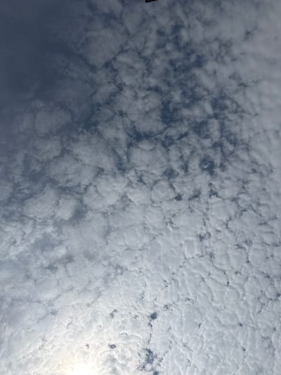 A wide-angle, low-angle shot captures a vast expanse of the sky filled with a multitude of small, puffy clouds, resembling a textured blanket. The clouds are predominantly white and light gray, with darker, wispy shadows intermingled. The sky transitions from a deep, almost navy blue on the left side of the frame to a lighter blue towards the bottom, where the sun is the source of a bright, diffused glow, peeking through the clouds and creating a halo effect. There are no discernible people, structures, or other objects in the image, indicating an unobstructed view of the atmospheric conditions. The scene is a natural environment.