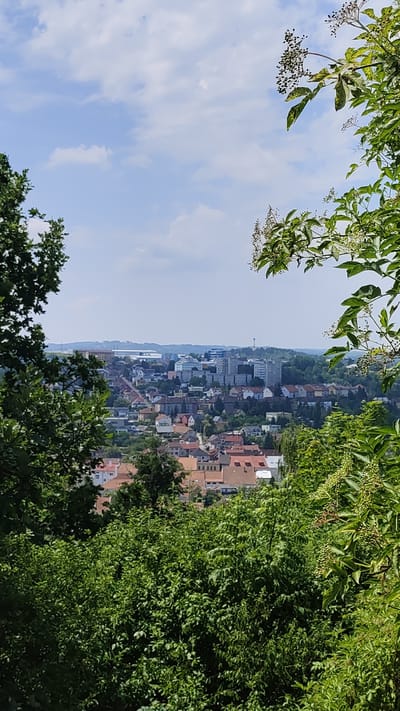 The image presents a panoramic view of the city of Velké Meziříčí, Czechia, taken from an elevated vantage point surrounded by lush green foliage. In the foreground, dense trees and branches frame the scene, with some foliage appearing closer to the camera, creating a naturalistic border.

The midground reveals the urban landscape of Velké Meziříčí. A cluster of buildings, characterized by red-tiled roofs and varied architectural styles, dominates this section. Interspersed among these residential structures are taller, modern buildings, including what appears to be office or apartment blocks, some with visible windows and balconies. The buildings are spread across rolling hills, indicating the city's topography.

Further in the background, the cityscape extends towards the horizon. Distinct structures such as a tall telecommunications tower or observation spire are visible on a distant hill, adding to the urban skyline. Beyond the city, a hazy layer suggests more distant landscapes, possibly industrial areas or further undeveloped land, under a bright, partly cloudy sky.

The overall impression is a sunlit day, with clear blue skies punctuated by scattered white clouds. The natural elements of trees and foliage contrast with the man-made structures of the city, suggesting a harmonious blend of nature and urban development. No people or specific actions are discernible in the image.
