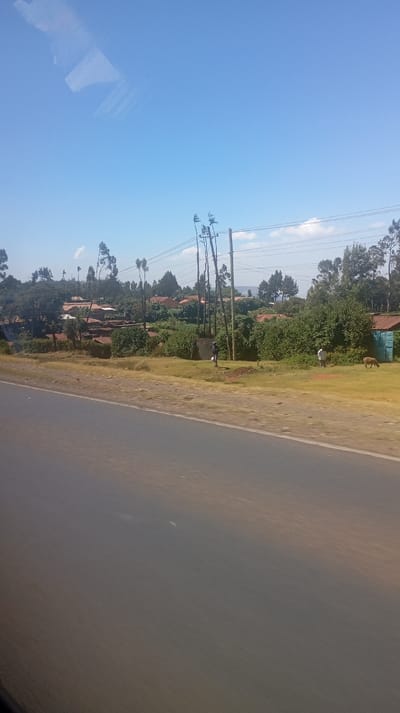 A roadside view displays a blurred asphalt surface. Across the way, a grassy verge gives way to a rural village scene. Small buildings with red roofs peek out among dense trees and foliage. Utility poles and wires stretch along the roadside. A few people are seen walking on the grass, and an animal grazes nearby. The sky above is a clear blue, marred only by slight cloudiness.