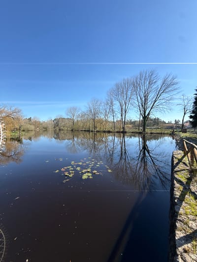 The image presents a serene waterscape under a clear blue sky, likely captured on a sunny day during late autumn, winter, or early spring, given the bare deciduous trees. The scene is dominated by a calm body of water that acts as a mirror, reflecting the sky and the trees lining its banks.
In the upper portion of the image, the sky is a vibrant, unbroken blue, with a single, faint white contrail (airplane trail) streaking across it horizontally. Below the sky, a row of tall, bare trees with intricate branch patterns stands along the far bank of the water. Their skeletal forms are sharply defined against the bright sky, and their reflections are prominently visible in the still water below, creating an almost perfect vertical symmetry.
The dark, reflective water occupies the lower half of the image. Floating on its surface, primarily in the middle-right section, are several clusters of green lily pads or similar aquatic plants. Along the right edge of the water, a low stone wall or embankment with some wooden posts or fencing runs parallel to the waterline. This structure casts distinct shadows onto the water, indicating strong, bright sunlight. In the distance beyond the trees on the far bank, glimpses of lighter-toned land or fields can be seen.
In the bottom-left corner of the image, a partial view of an ornate white metal structure is visible, suggesting a decorative railing, archway, or gazebo near the viewpoint of the photographer. The overall atmosphere is one of tranquil natural beauty, accentuated by the striking reflections and clear lighting. No text is visible in the image.