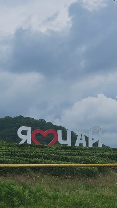 A large, white, three-dimensional sign with red accents sits atop a lush green hillside, displaying Cyrillic lettering. The sign appears to spell out "Я ЛЮБЛЮ ЧАЙ," which translates to "I love tea." The first character is a stylized white "Я" (Ya). This is followed by a large red heart symbol, representing "люблю" (lyublyu, meaning love). The remaining characters are white: "Ч" (Ch), "А" (A), and "Й" (Y). The sign is positioned in a landscape that suggests it is a landmark in a rural or mountainous area, potentially a tourist attraction related to tea cultivation, given the terraced green fields visible below it. The background features a dense, dark green forest covering a hillside. The sky above is filled with dramatic, heavy grey and white clouds, indicating a potentially overcast or stormy day. In the foreground, there is a bright yellow horizontal bar or pipe, and below it, a patch of wild green grass and some smaller plants, including some dandelions. The overall scene is one of scenic natural beauty with a prominent cultural landmark. This location is the city of Bolshoy Kichmai, Russia.