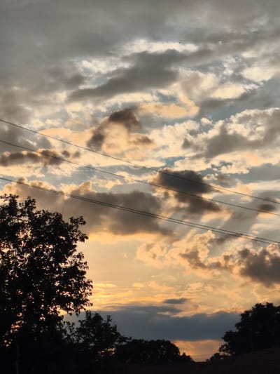 The image shows a sky filled with dramatic clouds, illuminated by the warm hues of a sunset. In the foreground, silhouetted against the sky, are the tops of trees and a few utility wires strung horizontally across the frame. The clouds vary in color from dark gray to bright orange and yellow, suggesting a dynamic weather pattern. The scene appears to be an outdoor view, possibly from a residential area, given the presence of trees and the overall composition. The specific location in Orizari, Bulgaria, is suggested by the prompt, but there are no explicit visual cues in the image to confirm this. The image captures a moment of natural beauty as the day ends.