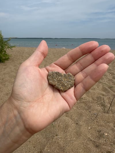 In Ayyrtau, Kazakhstan, a hand holds a heart-shaped stone on a sandy beach. The hand is open, palm up, with the stone resting in the center. The stone is small, rough, and multicolored, with shades of brown, gray, and white. The beach is composed of fine, light-brown sand, with sparse dry grass scattered across it. In the background, a calm body of water stretches to the horizon, with a faint treeline visible in the distance. The sky above is overcast with pale gray clouds. A small green bush is visible on the left side of the image.